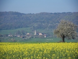 Photo paysage et monuments, Tignécourt - Que la campagne est belle au printemps !