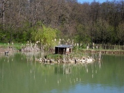 Photo paysage et monuments, Tignécourt - Un des nombreux étangs