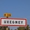 Uxegney (88390)