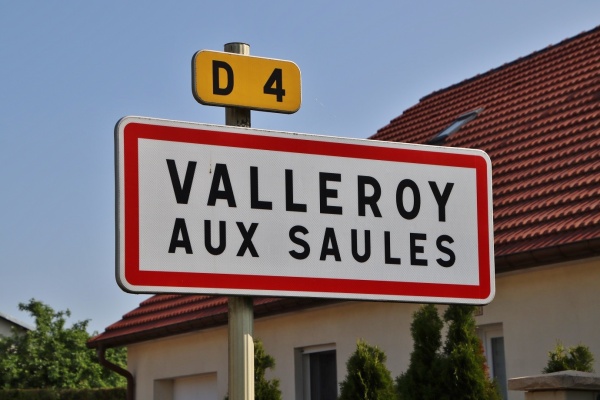 Photo Valleroy-aux-Saules - valleroy (88270)