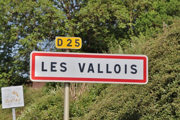 Photo Les Vallois - les vallois (88260)