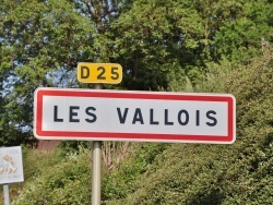 Photo paysage et monuments, Les Vallois - les vallois (88260)