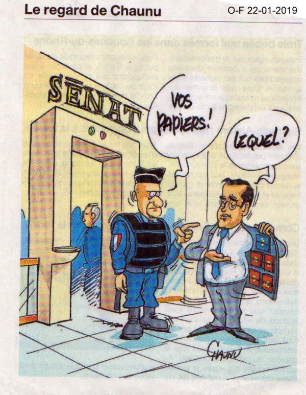 Photo Les Voivres - L'affaire Benalla