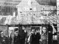 Les camps de Haslach