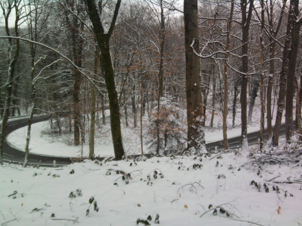 Photo Danjoutin - LES BOIS DU BOSMONT