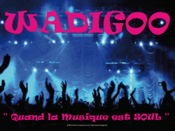 Photo vie locale, Le Coudray-Montceaux - L'affiche du groupe WADIGOO