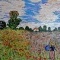 Photo Argenteuil - Le champ de coquelicots à Argenteuil-influence,Claude Monet.