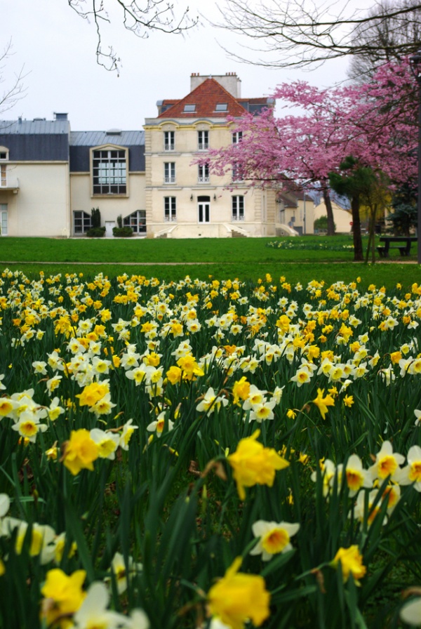 Premier jour de printemps dans le parc Yves Carric du Plessis-Bouchard