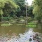 Le bassin du jardin botanique à Deshaies